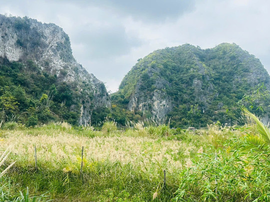Cai Beo Floating Village-Cat Ba Town必去景点
