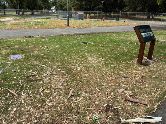 Pinky Flat-阿德莱德必去景点