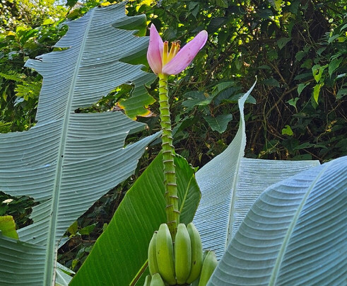 坦南溶洞-旺阳必去景点