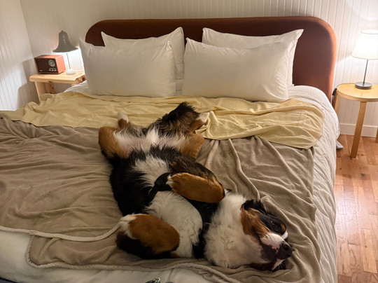 Drifthaven At Gearhart主图