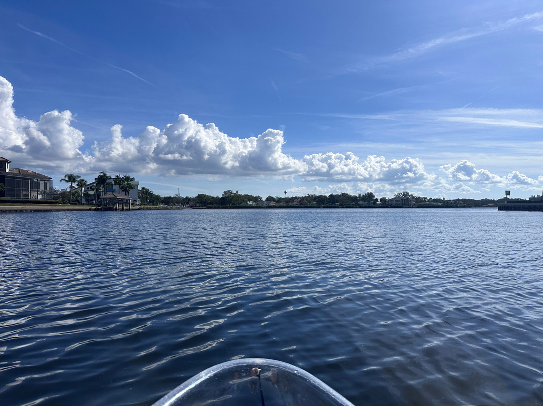 Get Up And Go Kayaking - Tarpon Springs-塔彭斯普林斯必去景点