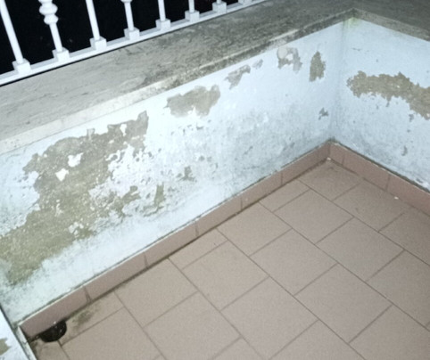 Hotel Cristoforo Colombo主图