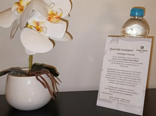 Hotel Ceibo Real主图