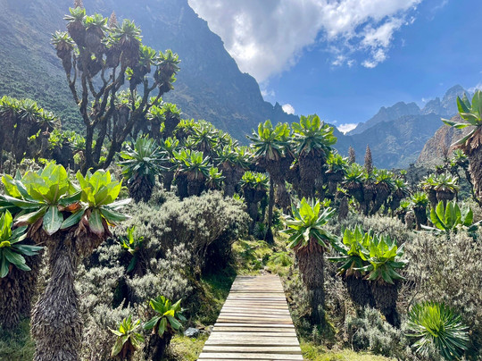 Trek Rwenzori Tours-Fort Portal必去景点