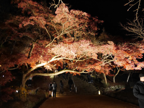 Kamado Shrine-太宰府市必去景点