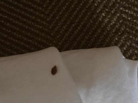 Comfort Suites Wichita主图