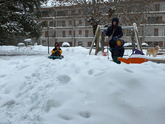 户撒雪绒花酒店主图