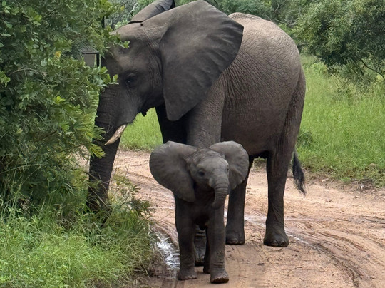 SAFARI.COM-开普敦中心区必去景点