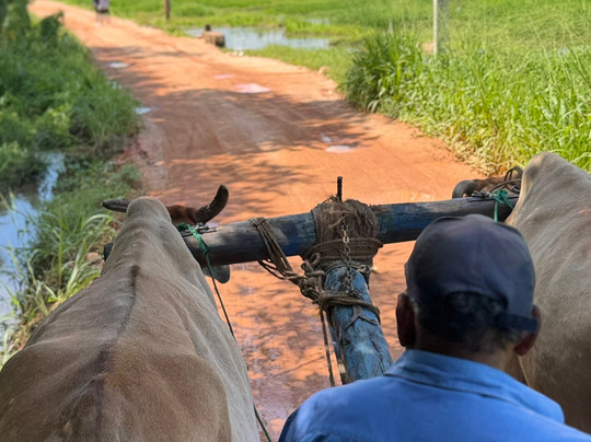 Compass Lanka Tours-Yakkala必去景点