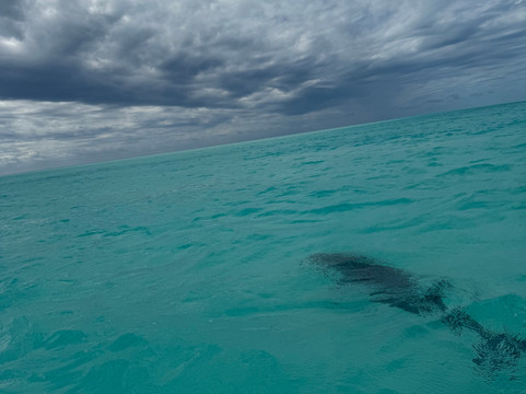 Long Island Boat Rentals-长岛必去景点