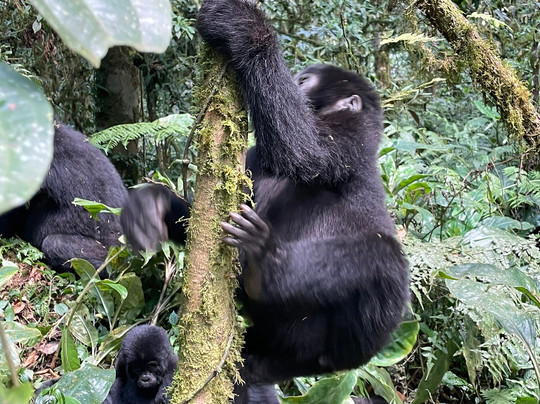 Trek Africa Expeditions-Lyamutundwe必去景点