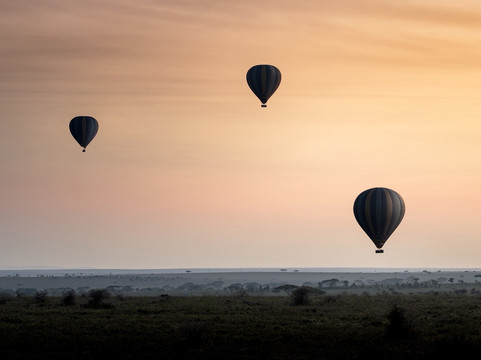 Rhythms of Nature-内罗毕必去景点