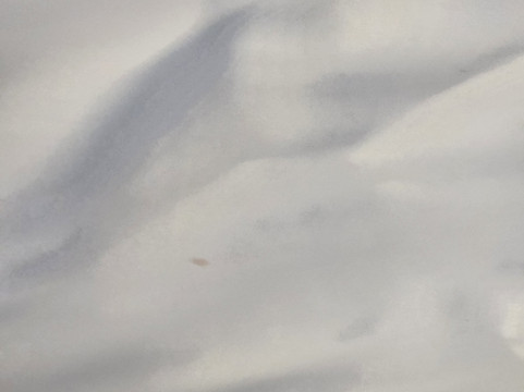 Quality Inn Franklin I-65主图