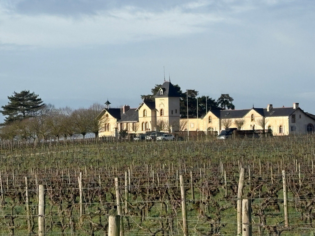 德蒙苏谢瑞住宿加早餐旅馆主图