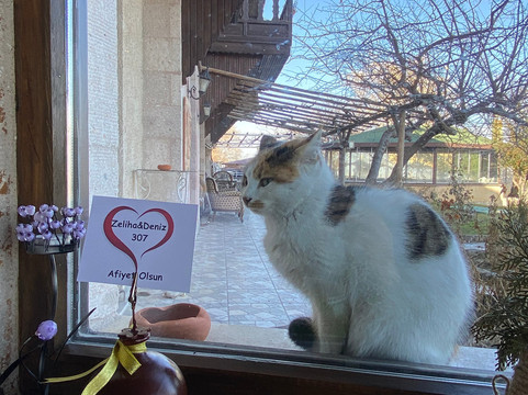 卡利克艾维宾馆 - 特殊类别主图