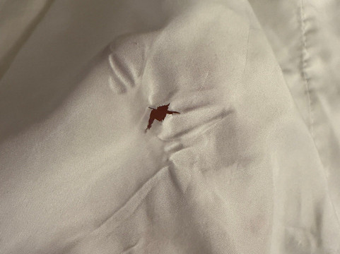 Comfort Suites Saraland - North Mobile主图