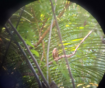 Elegant Tours Sri Lanka-Debarawewa必去景点