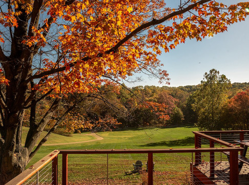 Wolf Trap National Park For The Performing Arts-维也纳必去景点