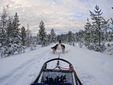 Taigausko Husky Experience-伊纳里必去景点