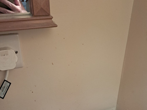 巴灵顿旅馆主图