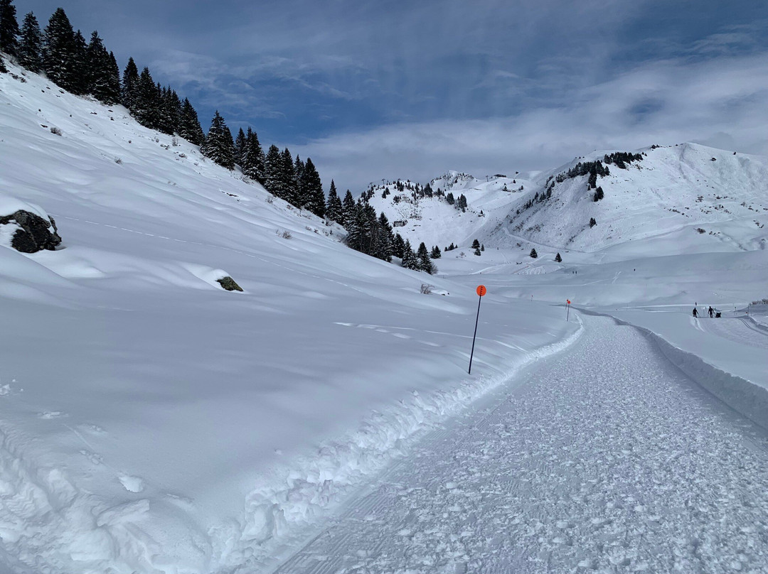 Lac de Joux Plane-Verchaix必去景点