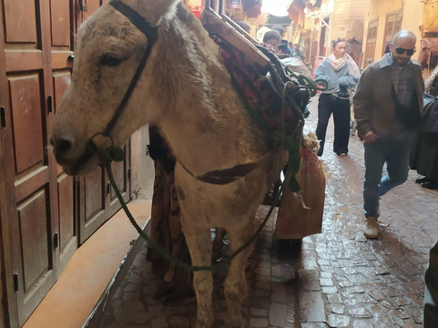 Desert Sans Frontieres-马拉喀什必去景点