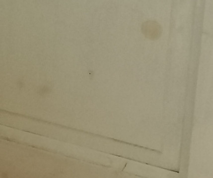 捷尼亚民宿主图