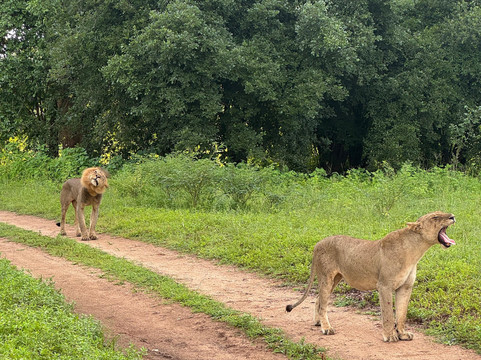 Zamsato - Zambia Safaris & Adventours-李文斯顿必去景点