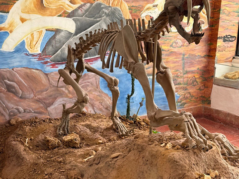 Centro de Investigaciones Paleontologicas - CIP-莱瓦镇必去景点