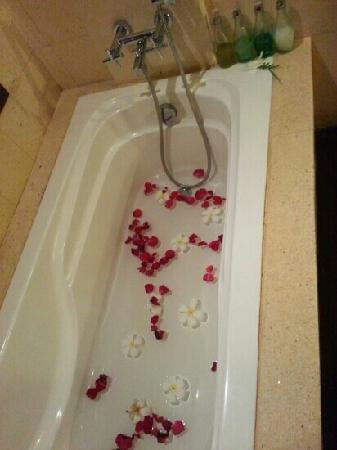 空中花园南迪尼丛林酒店主图