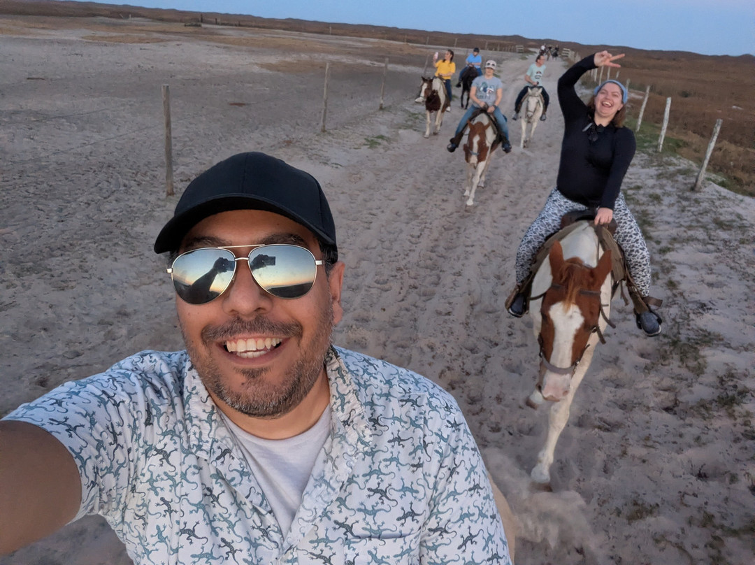 Horses On The Beach: Corpus Christi-科珀斯克里斯蒂市必去景点