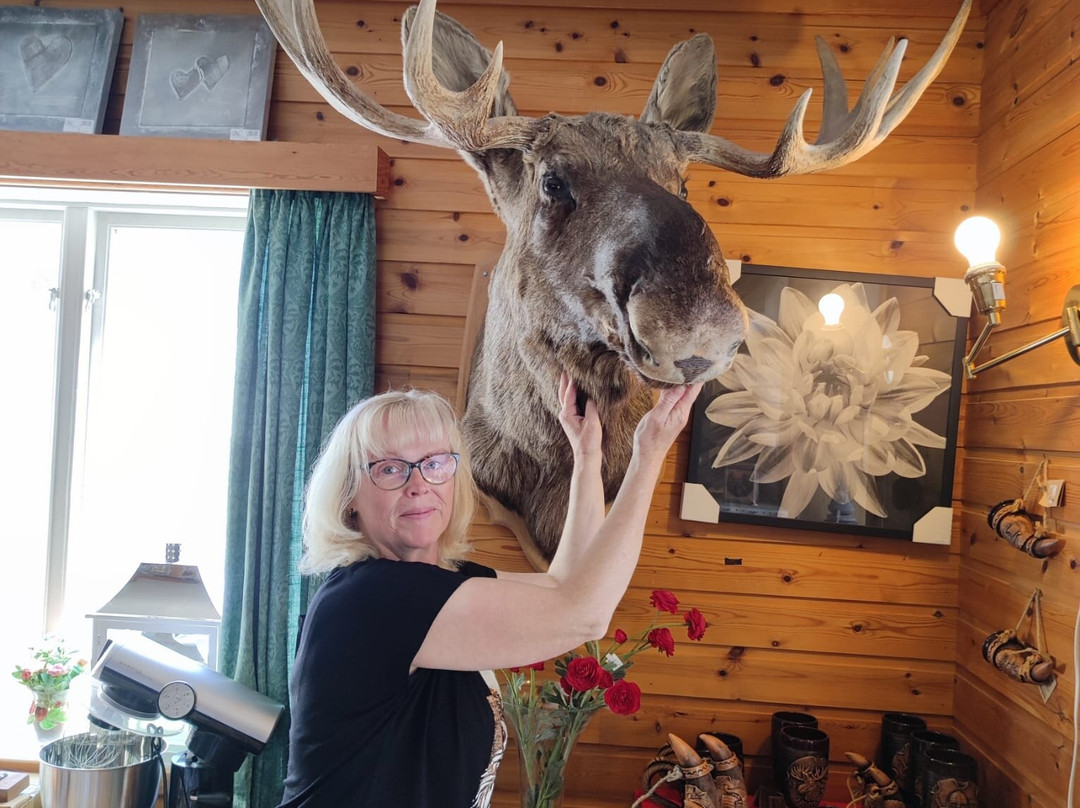 Wollert'n AS-Ulvik必去景点