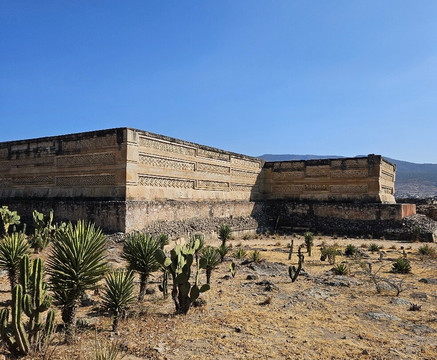 Zapotecos Tours-瓦哈卡必去景点