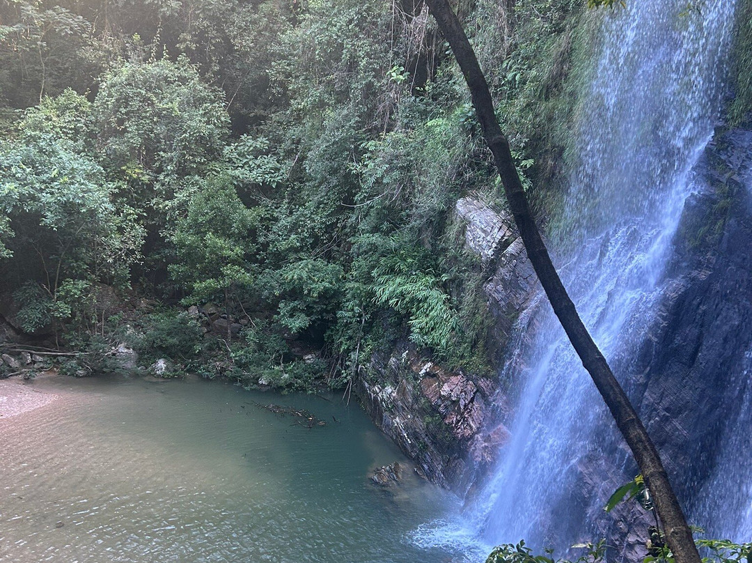 Cachoeira do Ouro-Delfinopolis必去景点