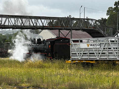 Southern Downs Steam Railway-Warwick必去景点