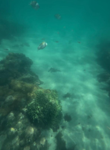 Parrachos Praia Clube-Maxaranguape必去景点