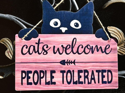 Brolo (vb)-Brolo必去景点