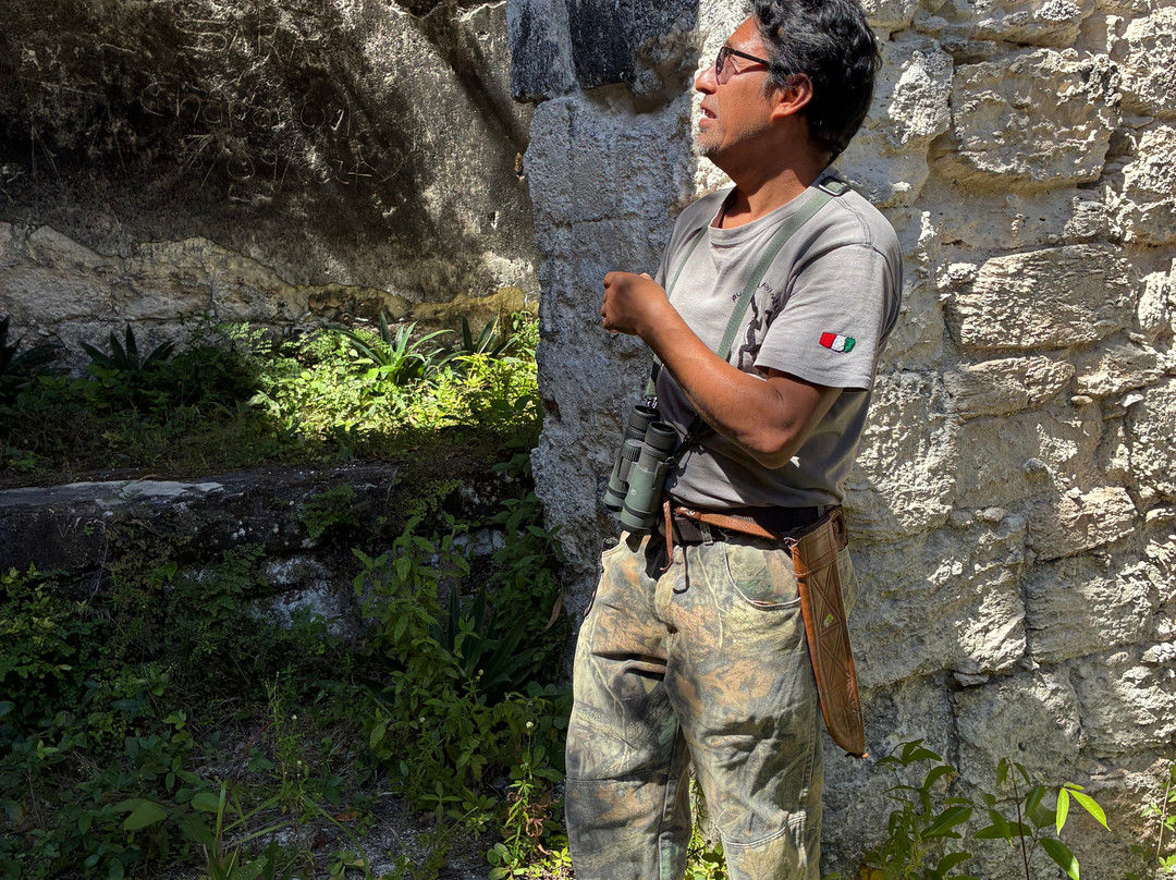 Calakmul Tours By Ezequiel-Xpujil Town必去景点