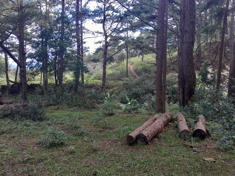 Lang Biang Trail-大勒必去景点