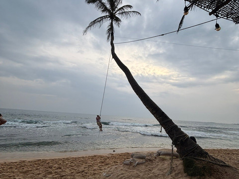 Feel Free Travel-曼谷必去景点