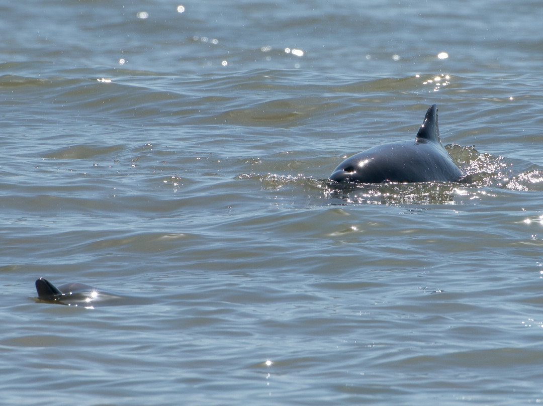 Ilet la Mere-卡宴必去景点
