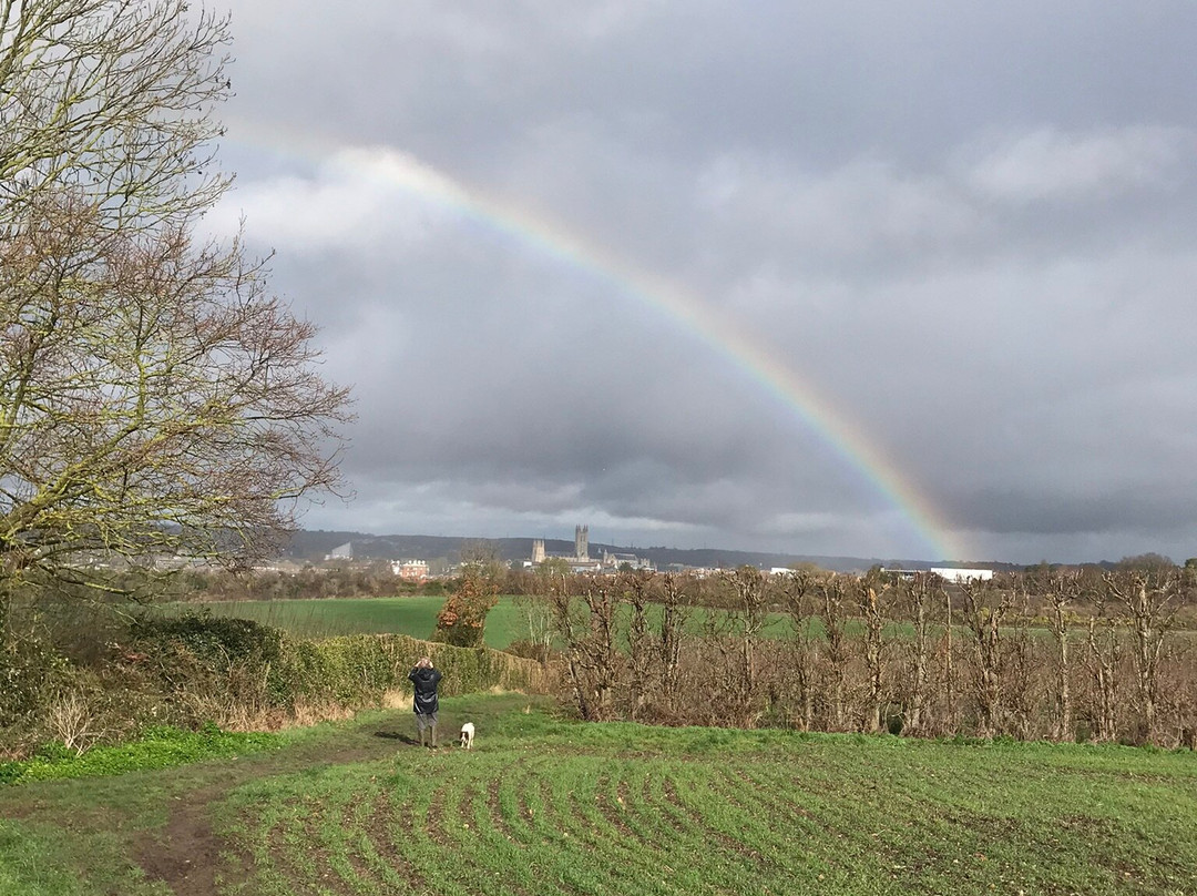 Canterbury Cathedral Panoramic Viewpoint-坎特伯雷必去景点