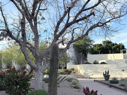 Old Town Scottsdale-斯科茨代尔必去景点