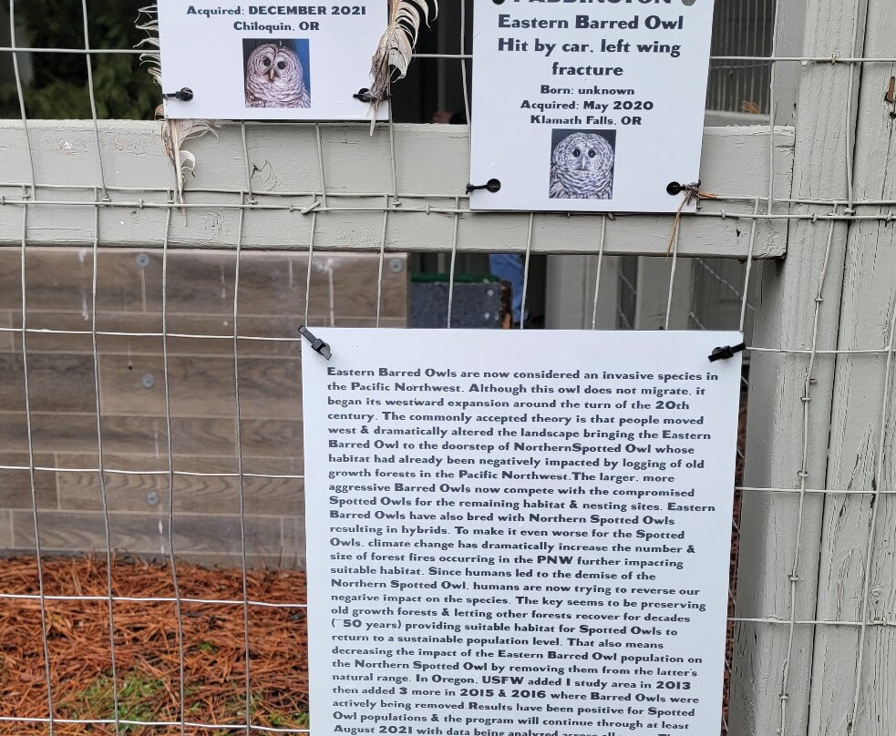 Badger Run Wildlife Rehab-克拉马斯福尔斯必去景点