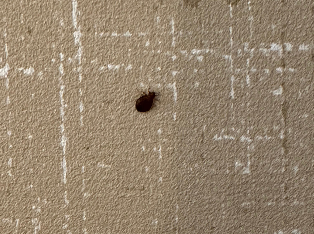 北极星-哥伦布坎布里亚酒店主图