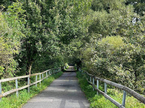 Cyklostezka Varhany-Ceska Lipa必去景点