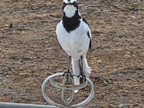易捷旅游-一日游-阿鲁沙必去景点