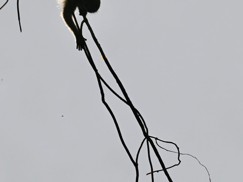 Patuyo Island Experience-Patoyo Island必去景点