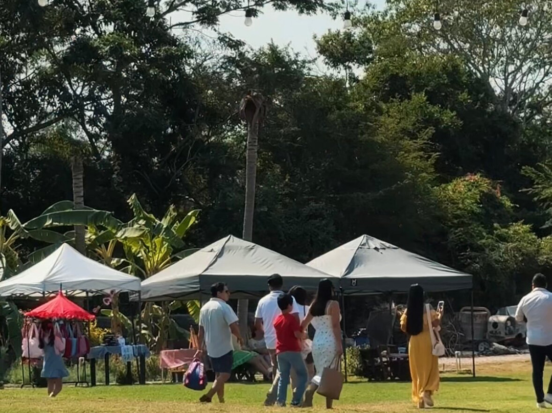 Rancho Orgánico El Edén-新瓦雅塔必去景点