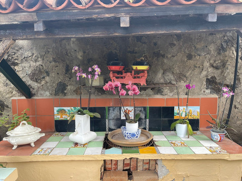 Jardin de Orquideas de Sitio Litre-德拉克鲁兹索尔港必去景点